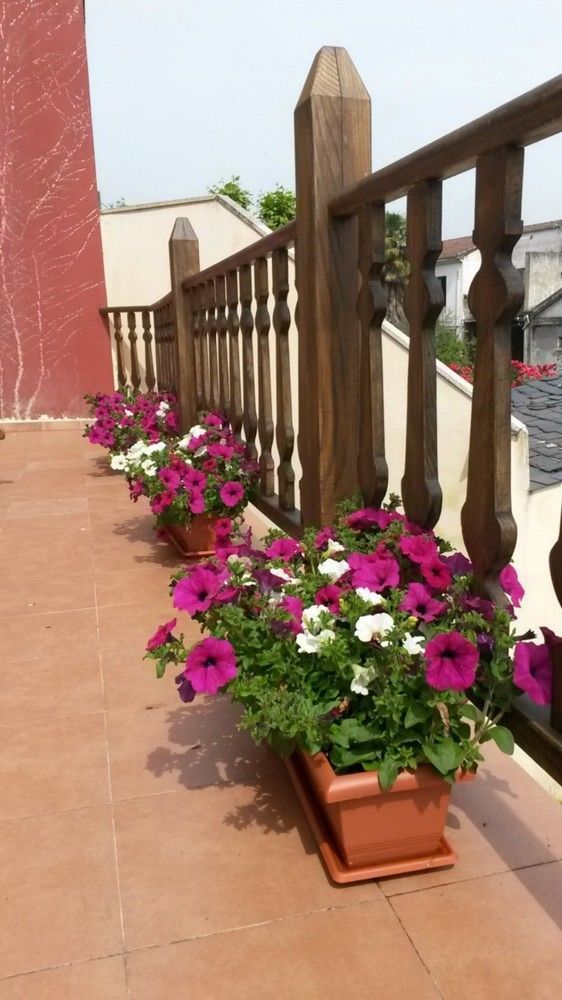 La Casona De Sarria Hostel Eksteriør bilde
